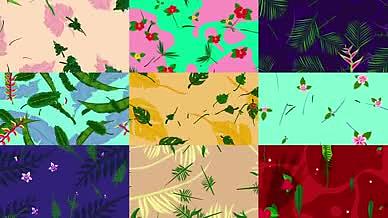 艳丽多彩花卉植物生长背景视频视频的预览图